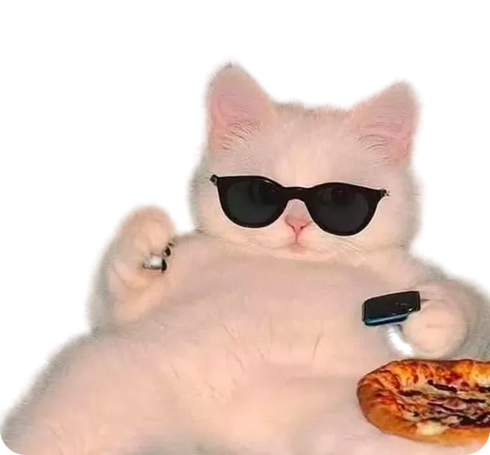 Котик в очках