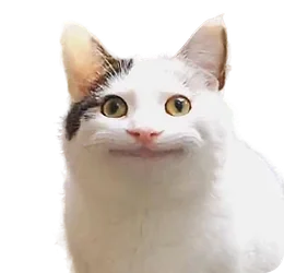 Котик с биркой