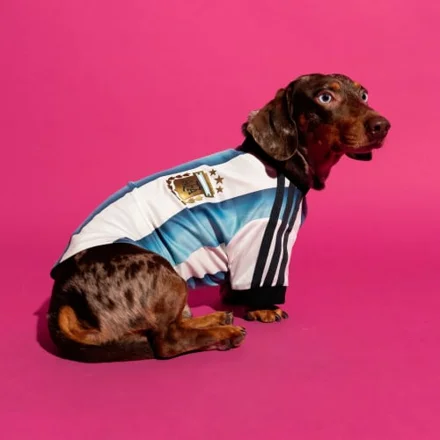 adidas: джерси Аргентины для питомца